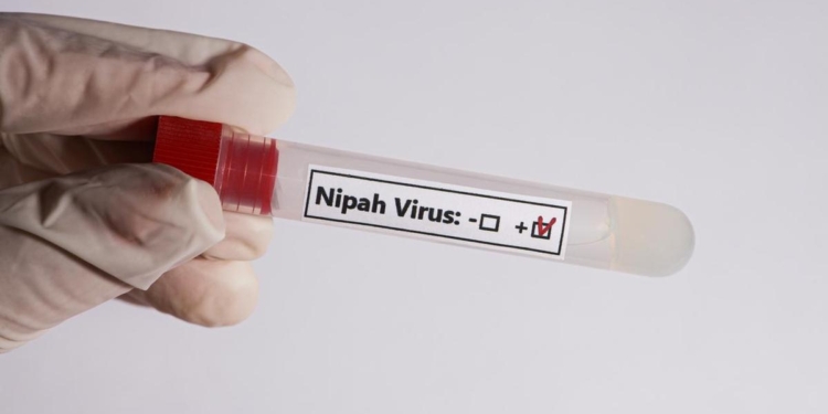 Nipah in West Bengal: Tamil Nadu govt. asks health officers to strengthen AES surveillance