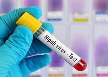 Nipah virus detected in West Bengal: know about the virus and its symptoms