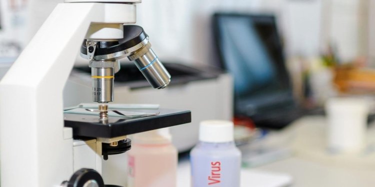 No Nipah virus case in Tripura: Official