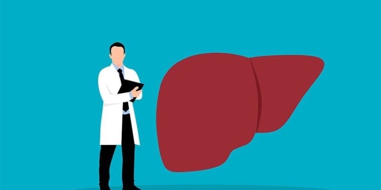 Obesity and smoking: Doctor lists liver damage causes