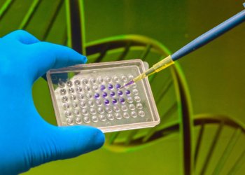 Opportunistic Cholesterol Gene Screens: Good in Theory Only?