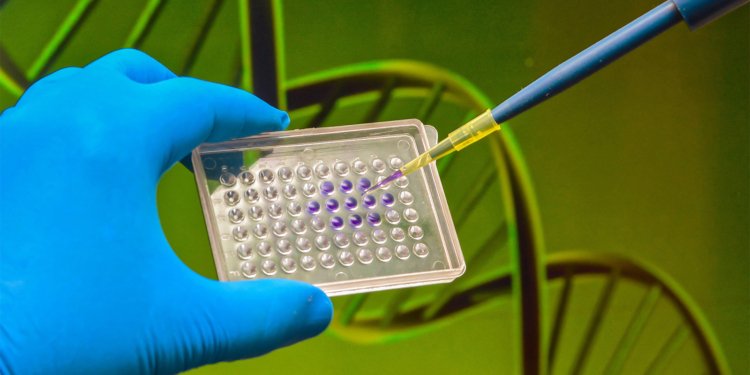 Opportunistic Cholesterol Gene Screens: Good in Theory Only?