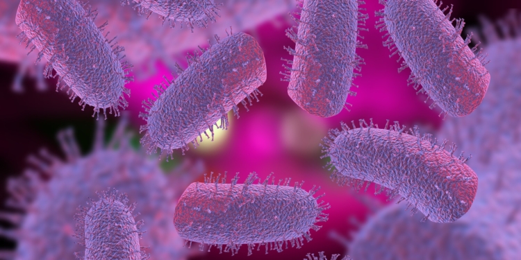 Rabies Status by Country