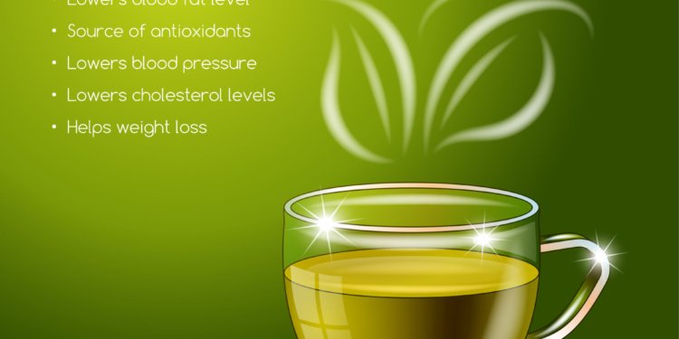 ☕🍵 Tea Can Improve Your Health and Longevity — But How You Drink It Matters