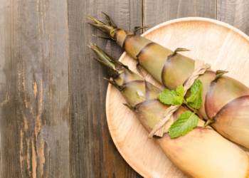 Scientists are rethinking bamboo as a powerful new superfood