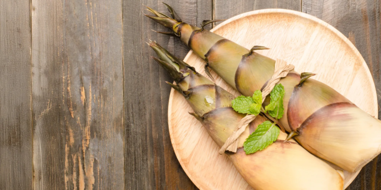 Scientists are rethinking bamboo as a powerful new superfood