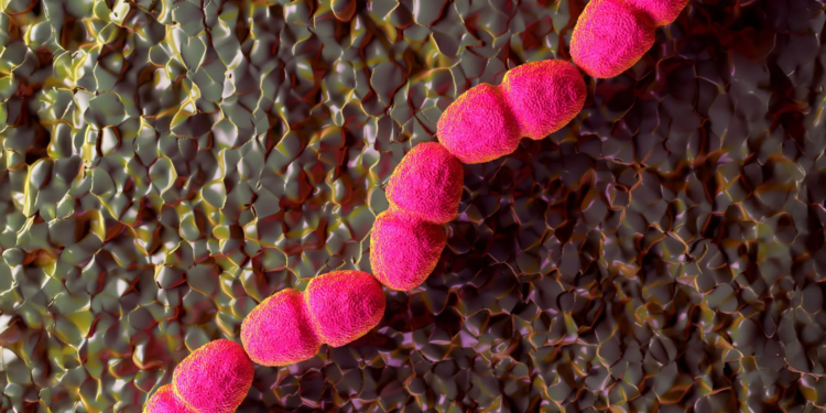 Scientists discover why some wounds refuse to heal