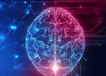 Scientists find hidden synapse hotspots in the teen brain: Study