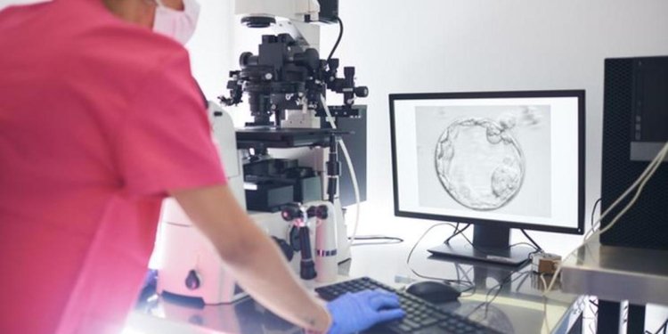 Scientists say male factors play major role in couple infertility; say genetic tech can spot cause