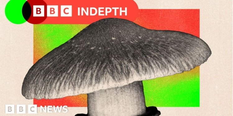 Should the NHS use magic mushrooms to treat mental health?