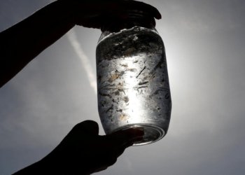 Tamil Nadu government seeks IIT-M’s assistance to study ill effects of microplastics on human health