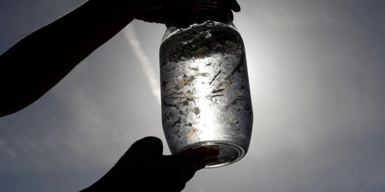 Tamil Nadu government seeks IIT-M’s assistance to study ill effects of microplastics on human health