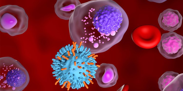 The Quest to Cure Myeloma: Mission Accomplished?