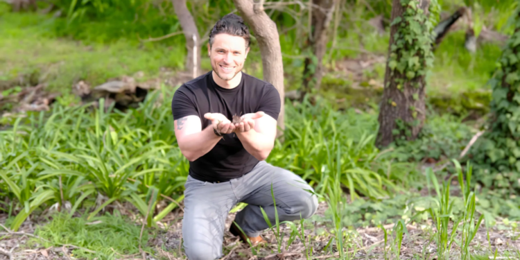 The invisible microbes that help keep us healthy