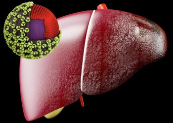 'They've Just Gotten It Wrong': Vaccine Shift Raises Fears of Hepatitis A, B Surges