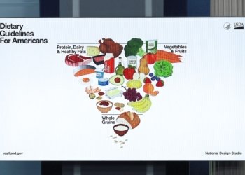 US brings back a revamped Food Pyramid