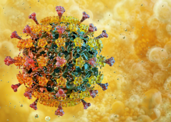 What Happened With Bird Flu in 2025?