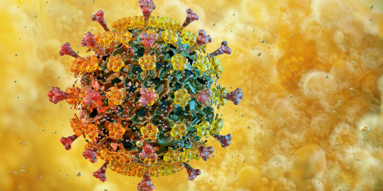 What Happened With Bird Flu in 2025?