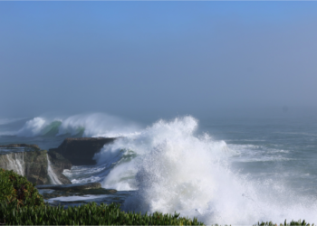 What is the difference between a tsunami and a tidal wave?