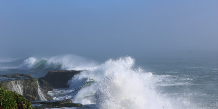 What is the difference between a tsunami and a tidal wave?