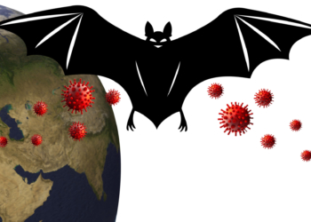 🦠 Nipah Virus Symptoms: What You Need to Know Amid Rising Searches