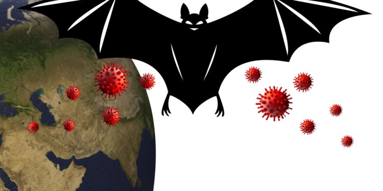 🦠 Nipah Virus Symptoms: What You Need to Know Amid Rising Searches