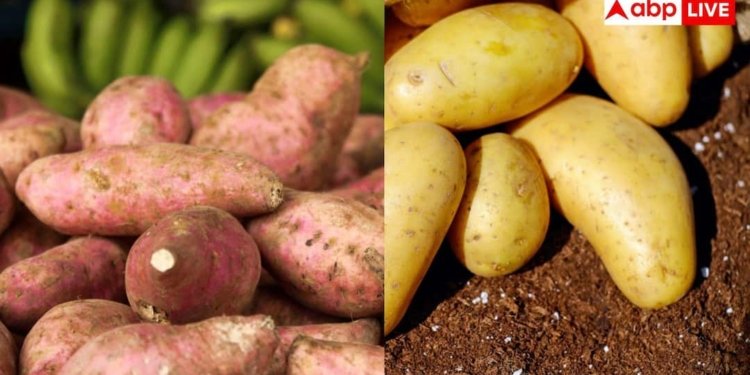 शकरकंद या आलू... गट हेल्थ के लिए क्या है बेस्ट ऑप्शन?