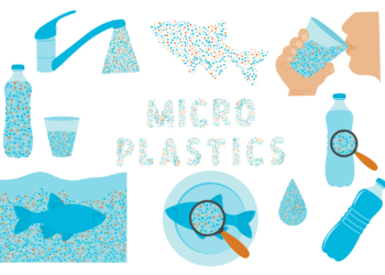 🚨 Invisible Threat in Our Drinking Water: How Microplastics and Nanoplastics May Be Affecting Our Health