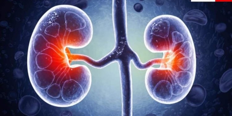 हाथ-पैरों पर सबसे पहले दिखते हैं किडनी डैमेज के ये लक्षण, ये 5 साइन तो 99% कर देते हैं इग्नोर