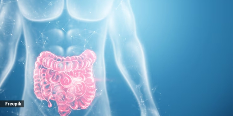 Gastroenterologist shares practical guidance on navigating the festive season with IBD