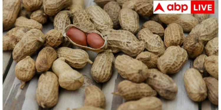 कहीं जरूरत से ज्यादा मूंगफली तो नहीं खा रहे आप, जानें एक दिन में कितनी खाना सही?