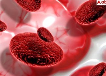 क्या सिर्फ हेल्दी फूड खाने से साफ हो जाती हैं खून की नसें? 99 पर्सेंट लोग कर बैठते हैं ये गलतिय