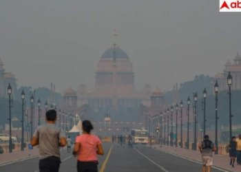 पॉल्यूशन की वजह से सुबह-सुबह गले में रहती है खराश? ये 7 होम रेमेडीज दिलाएंगी राहत