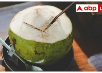 सर्दियों में नारियल पानी पीना चाहिए या नहीं? 90% लोग करते हैं ये गलती