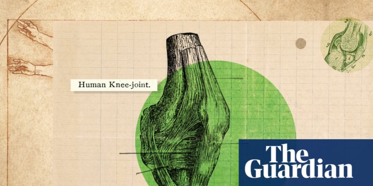 ‘They don’t have a nice socket structure’: how to really look after your knees