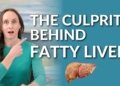 Fatty Liver - 2 Main CAUSES to this Diabetes Precursor