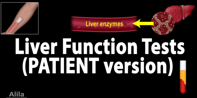 Liver Function Tests, Animation for Patients
