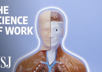 How Job Stress Affects Your Health | WSJ