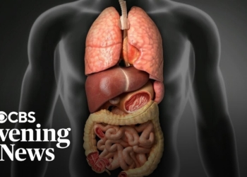 Ozempic and Wegovy ingredient may reverse liver disease