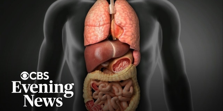 Ozempic and Wegovy ingredient may reverse liver disease