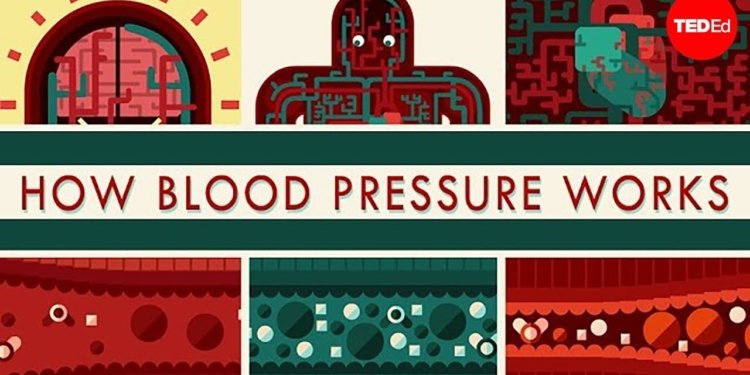 How blood pressure works - Wilfred Manzano