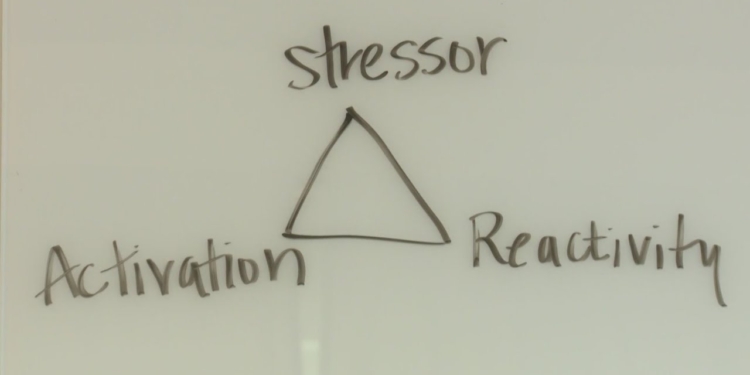 Mindfulness-based stress reduction techniques are making a major impact