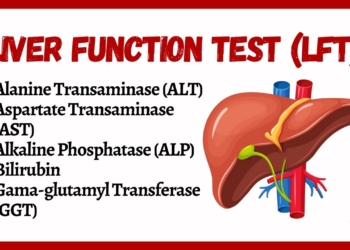 Liver Function Tests (LFTs) |  liver function test interpretation | Animation | Multi-Languages |