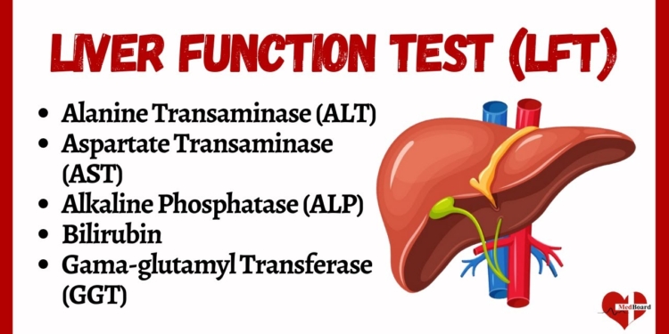 Liver Function Tests (LFTs) | liver function test interpretation | Animation | Multi-Languages |