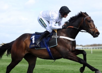 Horse racing-Constitution Hill will not run in Champion Hurdle, says trainer