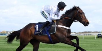 Horse racing-Constitution Hill will not run in Champion Hurdle, says trainer