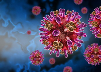 A hidden bat virus is infecting humans