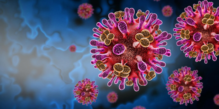 A hidden bat virus is infecting humans