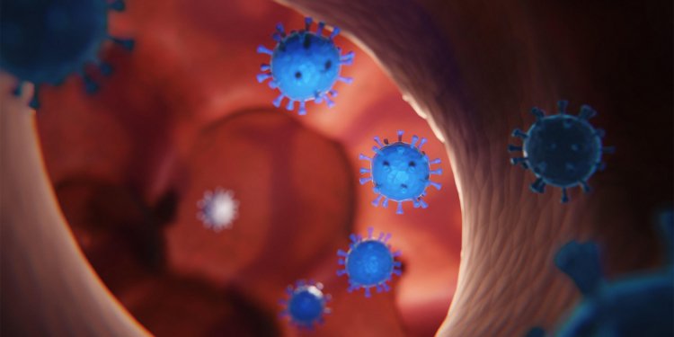 AMA Joins Vaccine Review Effort as CDC Trust Plummets