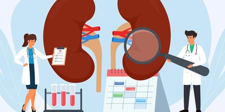 All you need to know about: hyperoxaluria